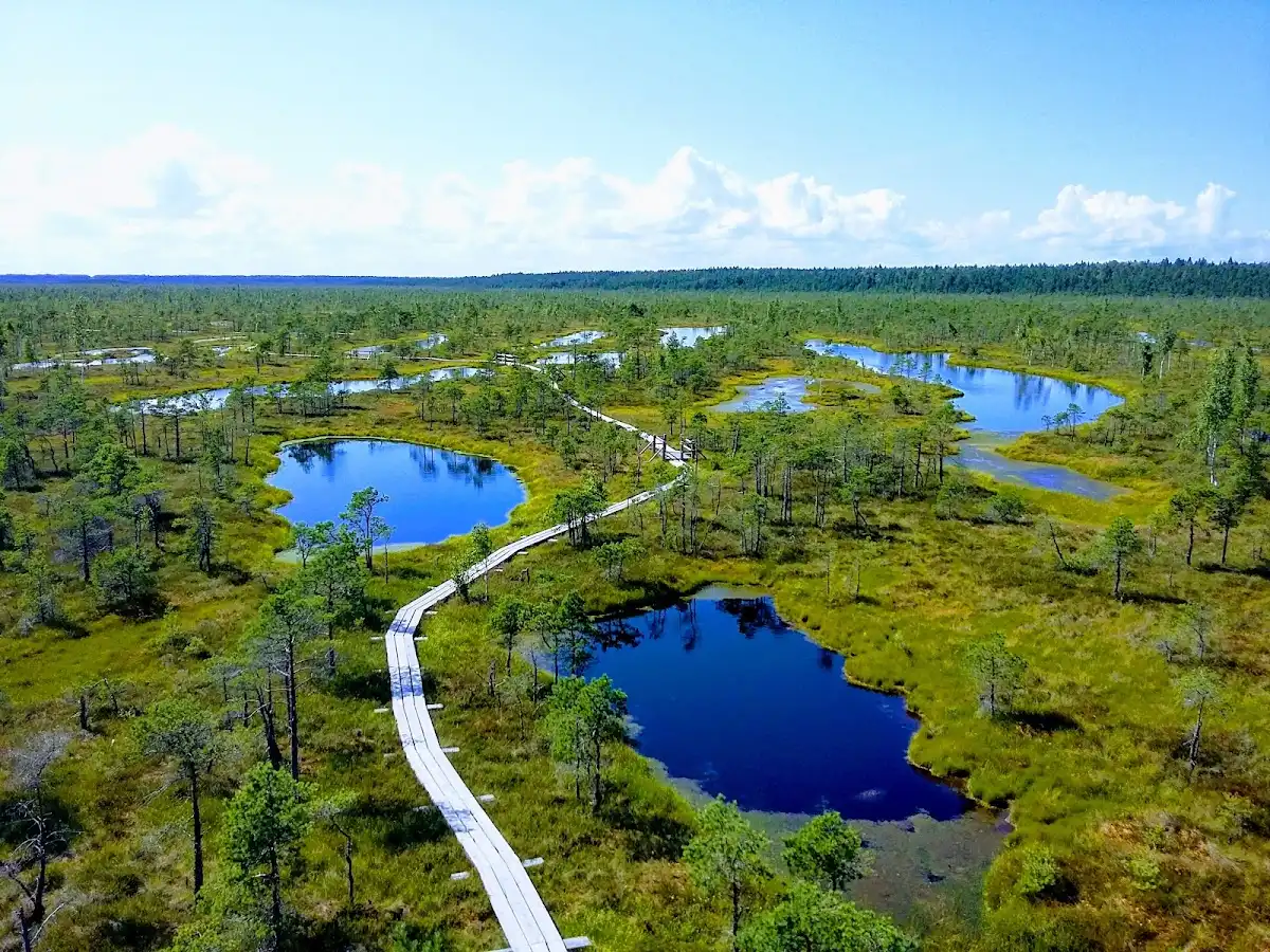 latvia-national-park-kemeri-national-park v1