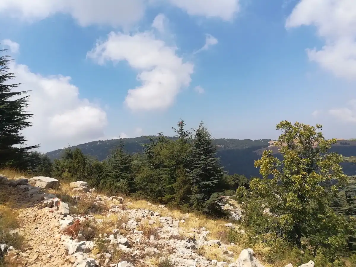 lebanon-hike-tannourine-cedar-forest-reserve-trail
