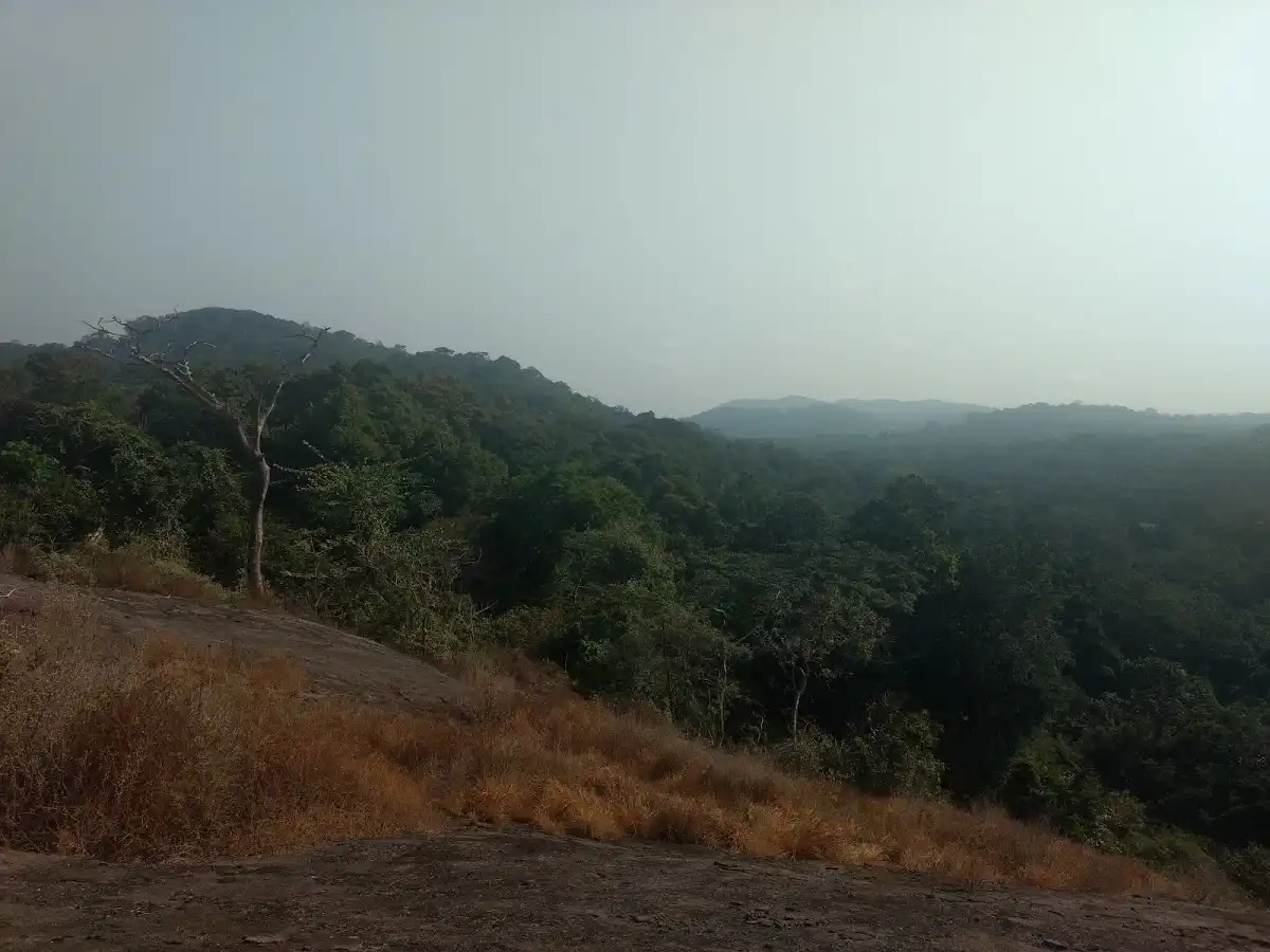 liberia-national-park-gola-forest-national-park