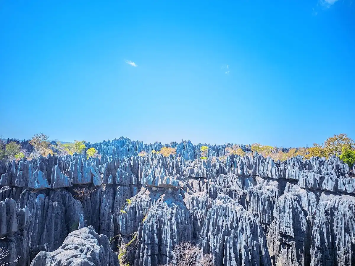 madagascar-attraction-tsingy-de-bemaraha