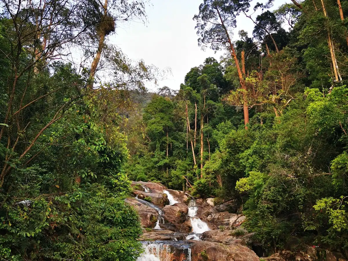 malaysia-national-park-gunung-ledang-national-park
