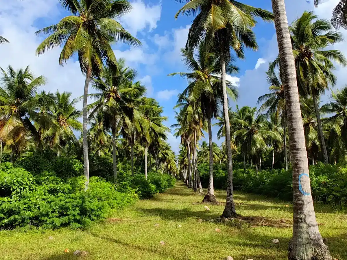 marshall-islands-national-park-bikini-atoll-national-historical-park