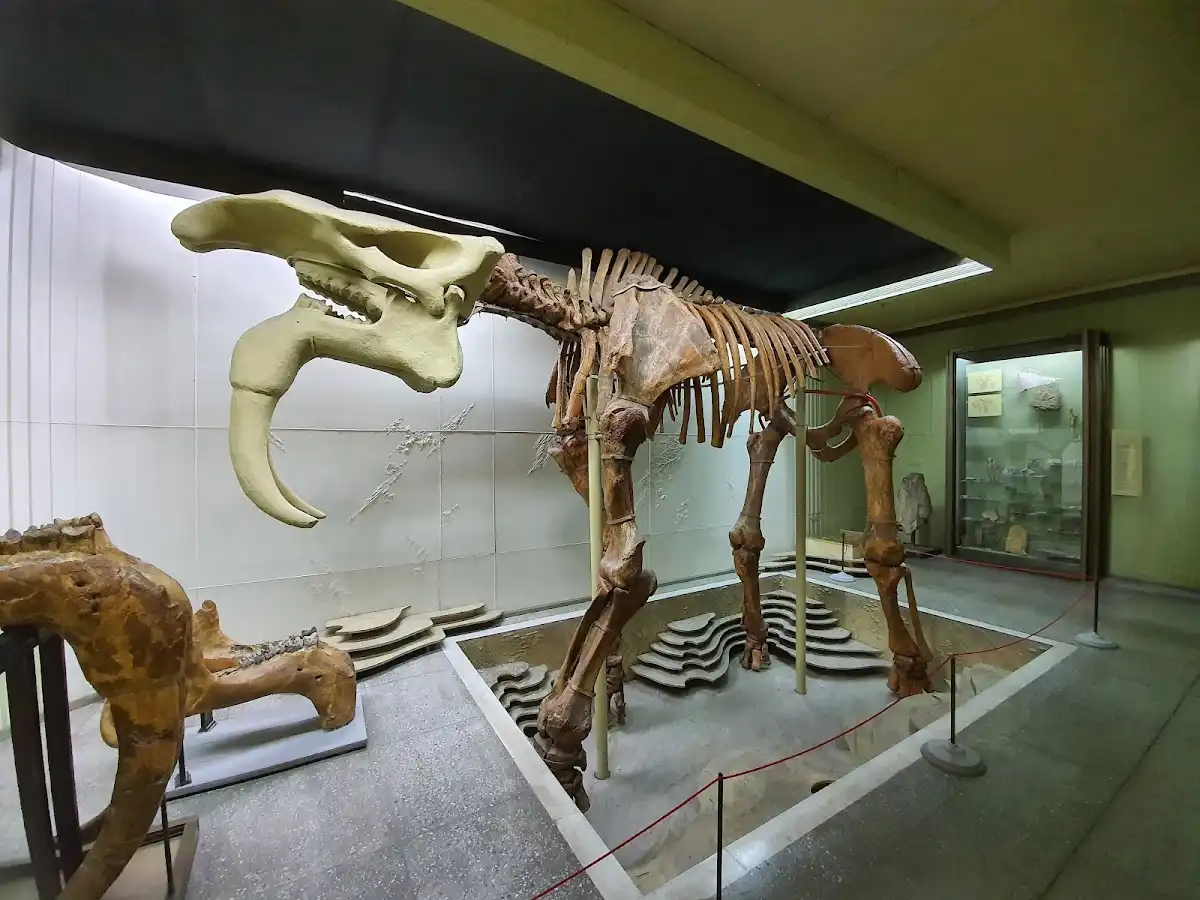 moldova-attraction-national-museum-of-ethnography-and-natural-history v1