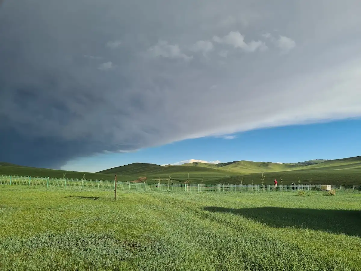 mongolia-national-park-khustain-nuruu-national-park