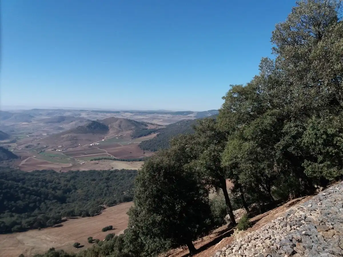 morocco-city-ifrane
