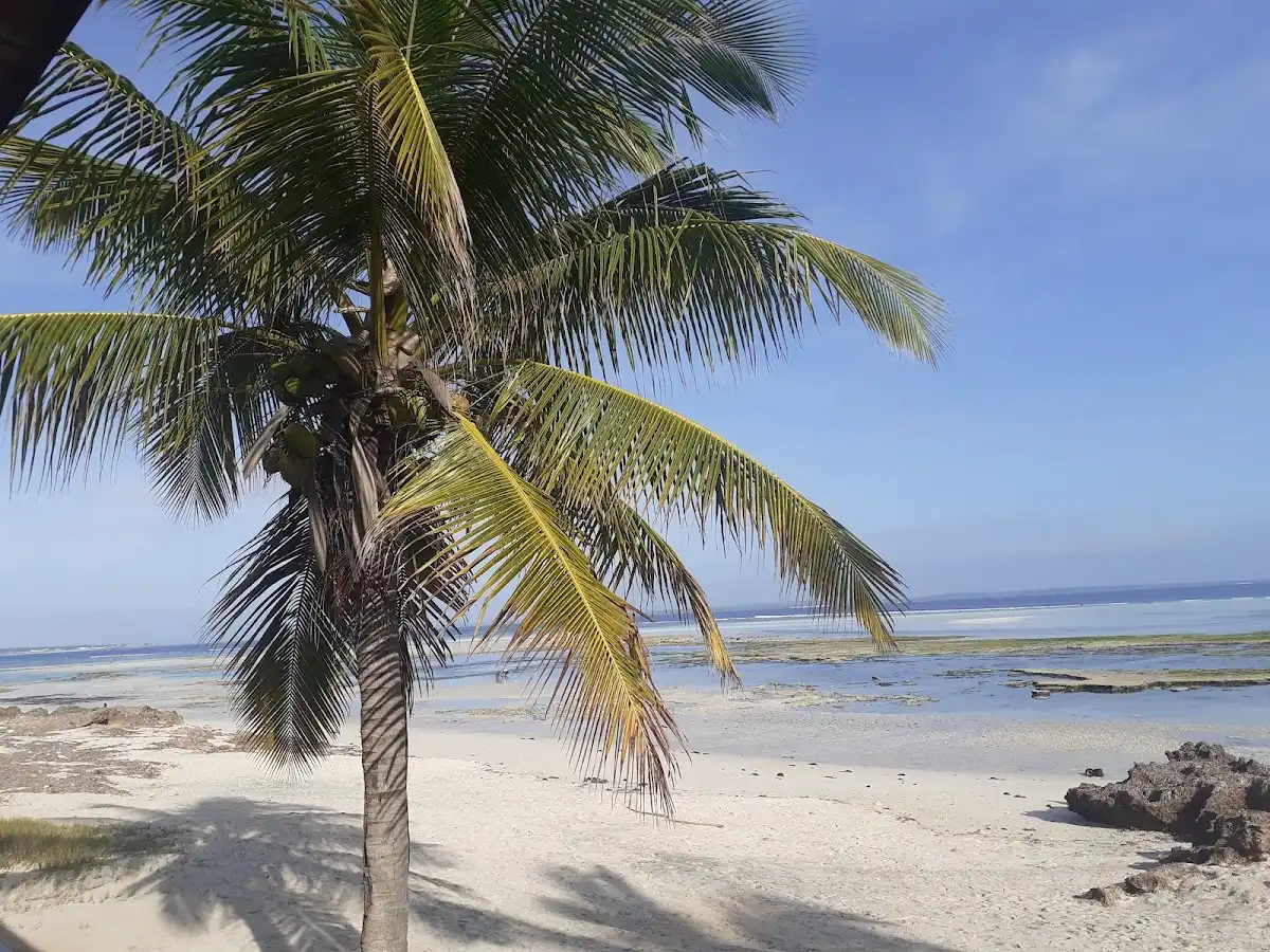 mozambique-city-pemba v1
