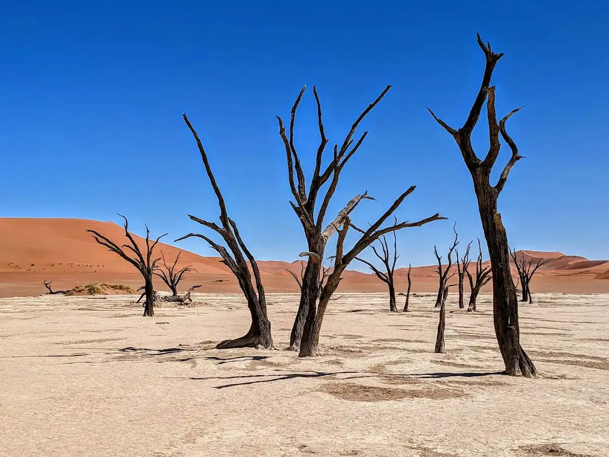 namibia-national-park-namib-naukluft-national-park