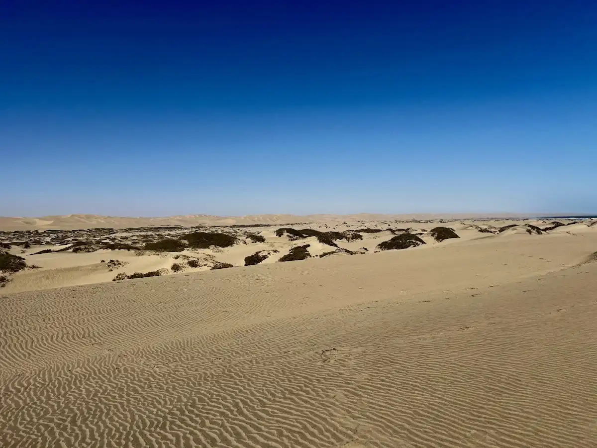 namibia-unique-site-sandwich-harbour