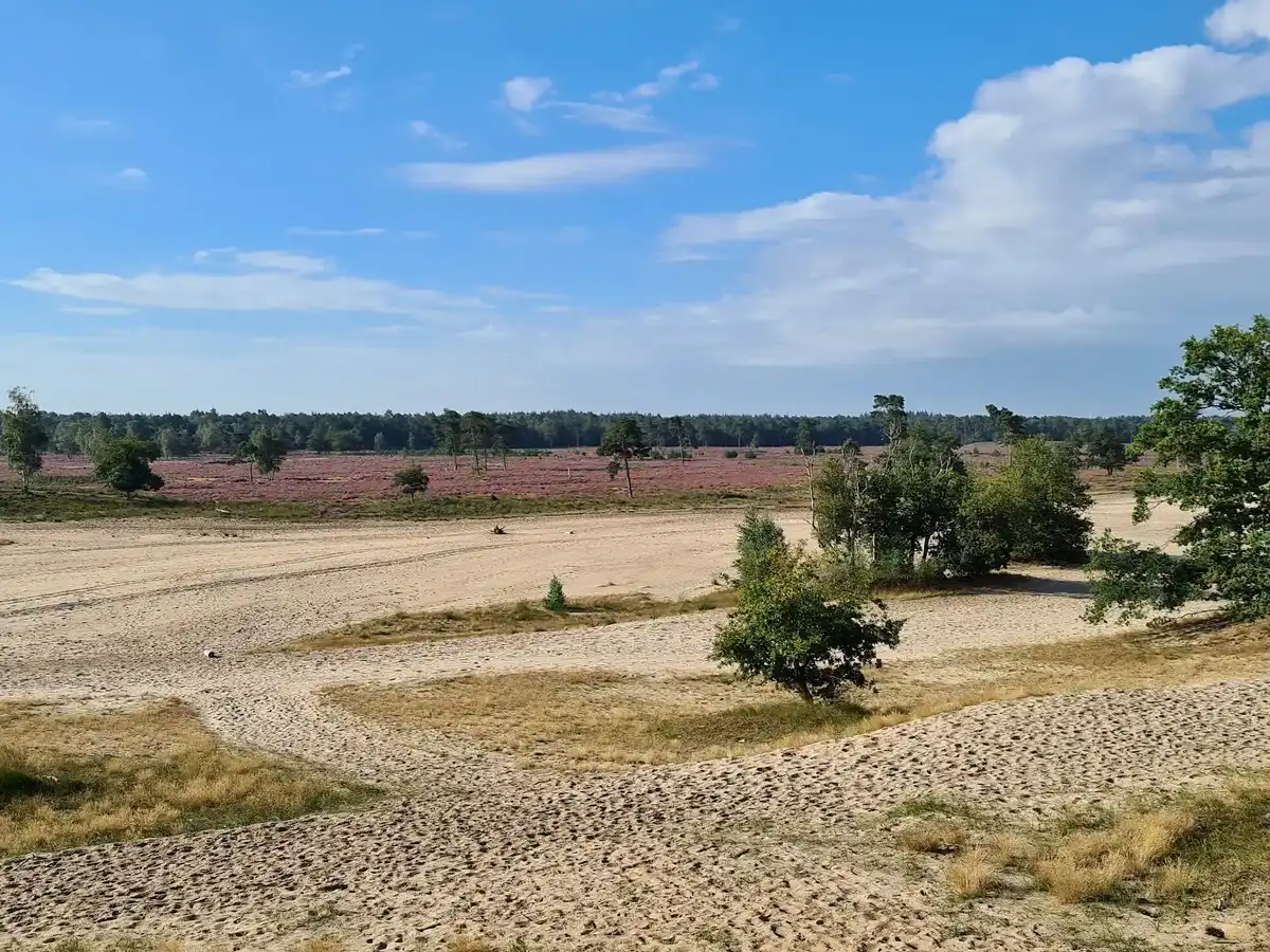 netherlands-national-park-loonse-en-drunense-duinen-national-park