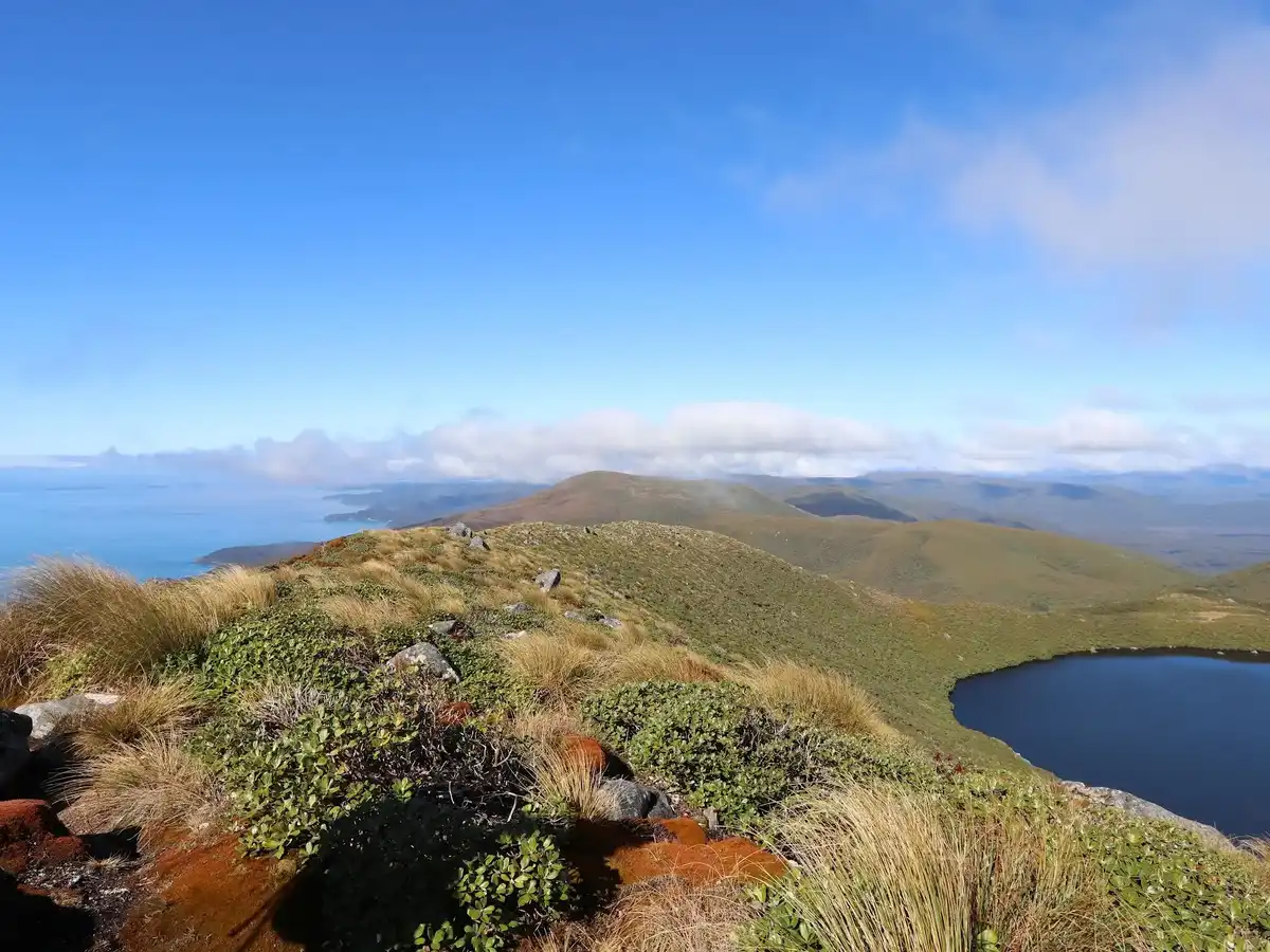 new-zealand-national-park-rakiura-national-park