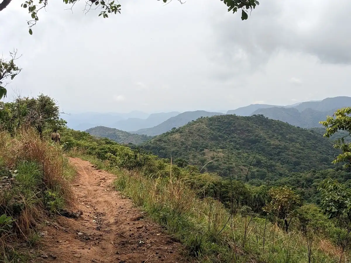 nigeria-hike-gashaka-gumti-mountain-trail v1