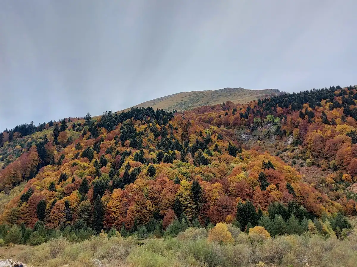 north-macedonia-national-park-shar-mountain-national-park v1