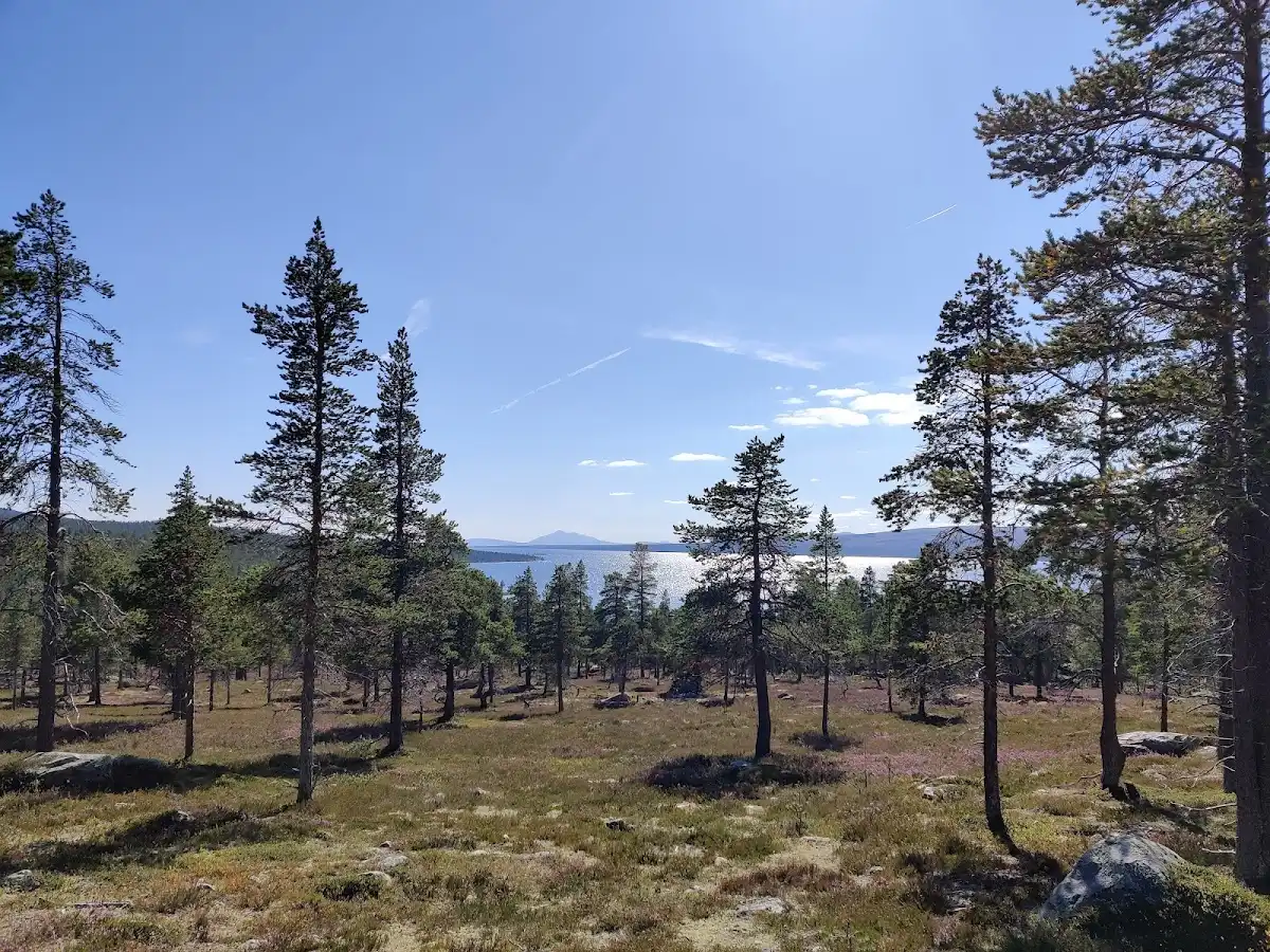 norway-national-park-femundsmarka-national-park
