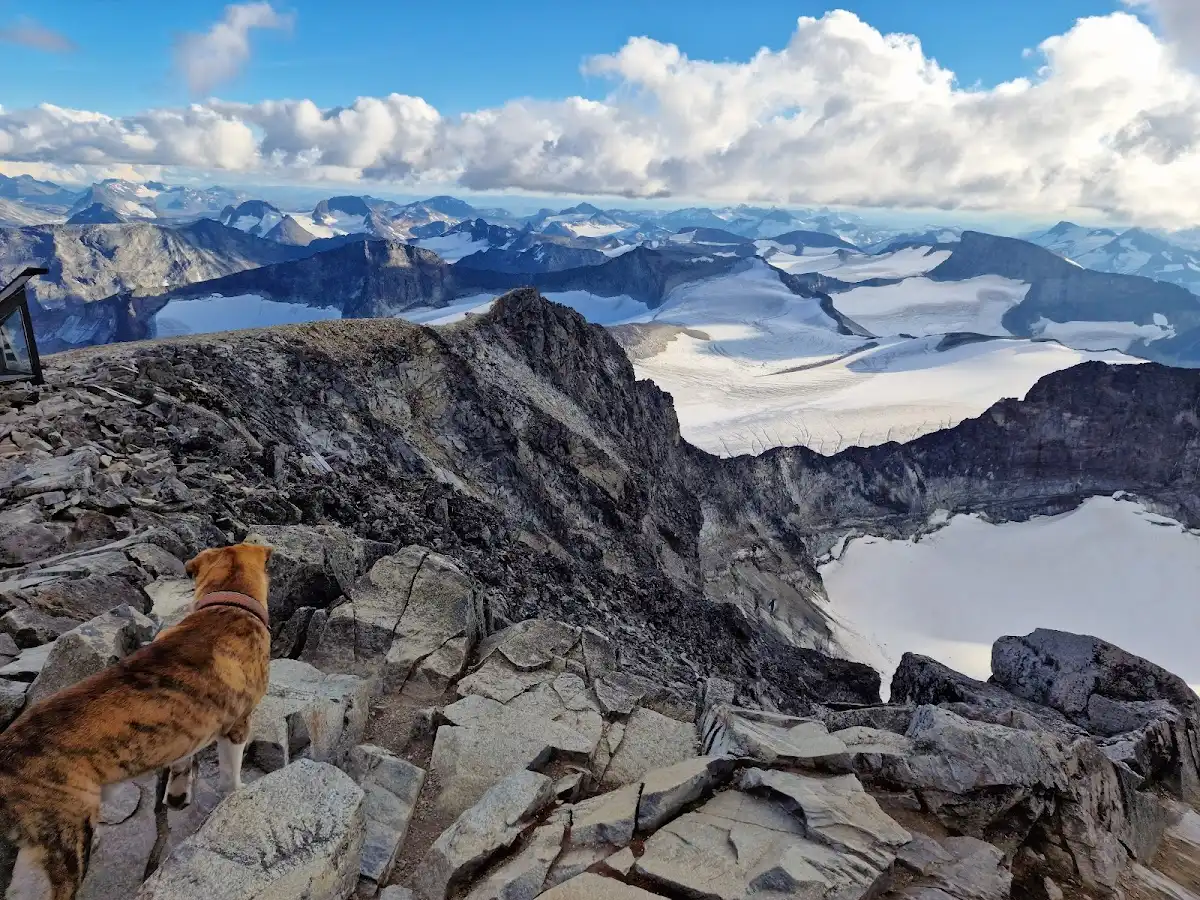 norway-unique-site-galdhopiggen