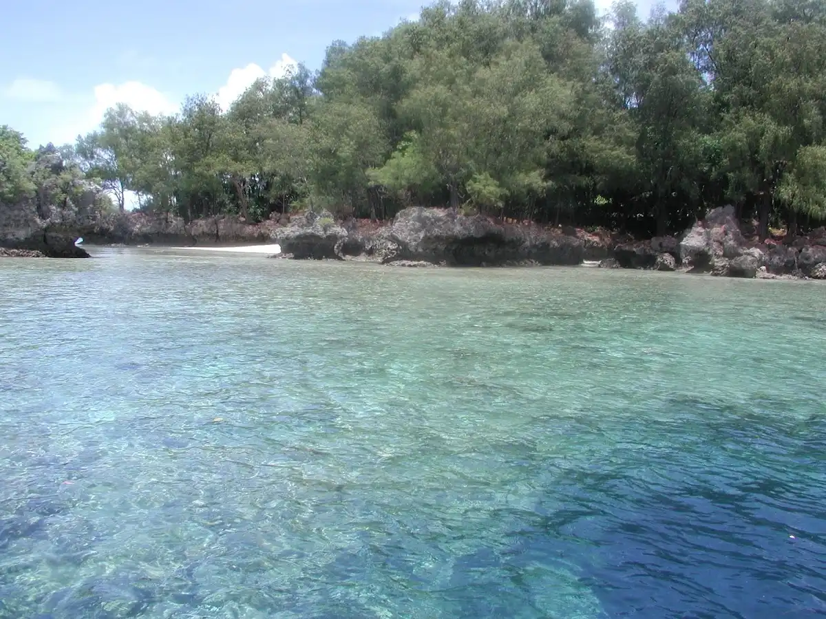 palau-unique-site-turtle-cove-dive-site