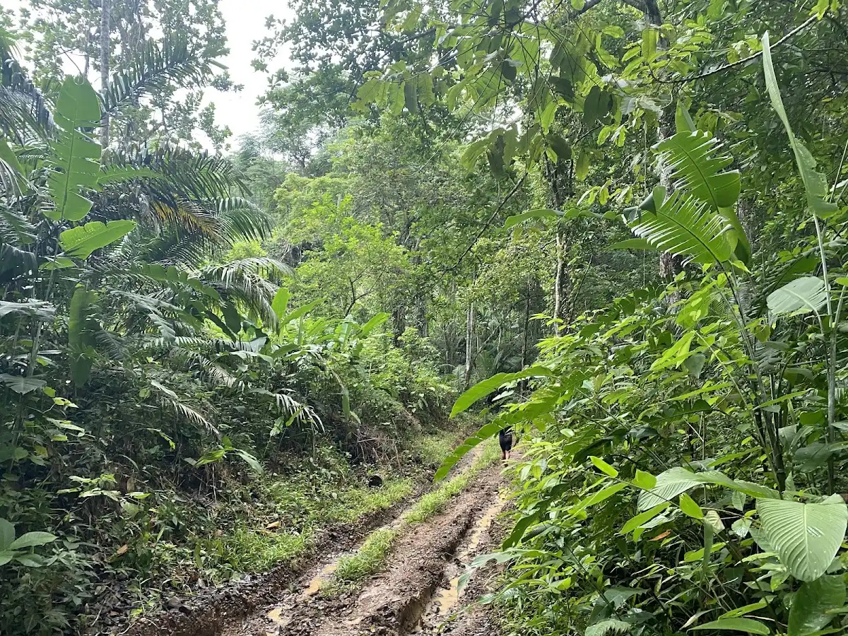 panama-national-park-camino-de-cruces-national-park