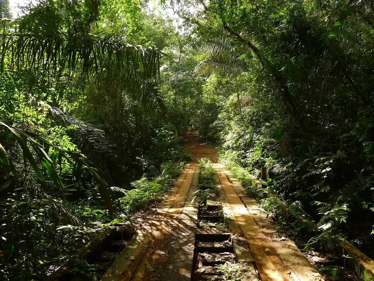 panama-national-park-soberania-national-park