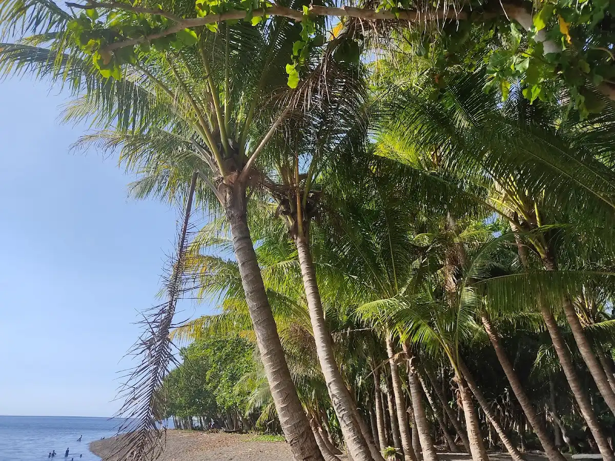 papua-new-guinea-beach-east-new-britain-beaches