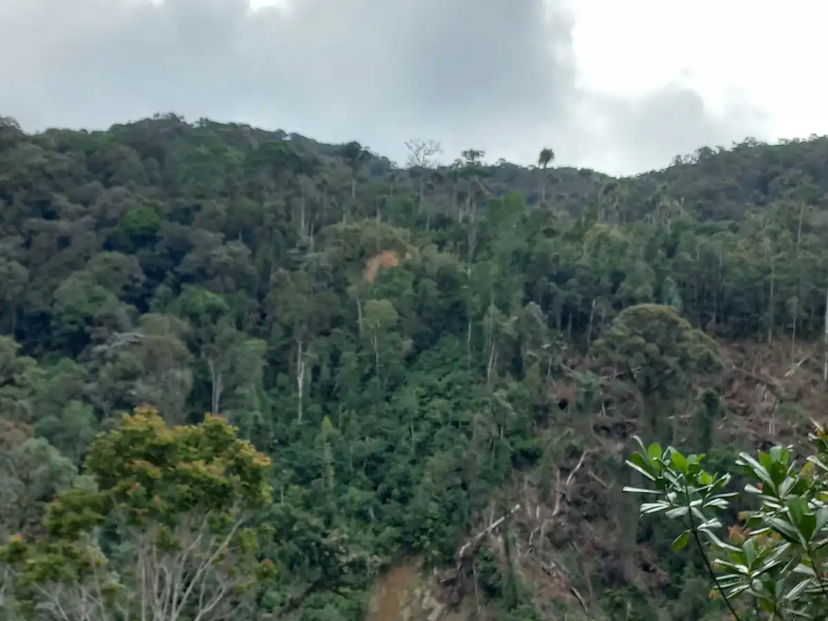 papua-new-guinea-hike-finisterre-range-trek