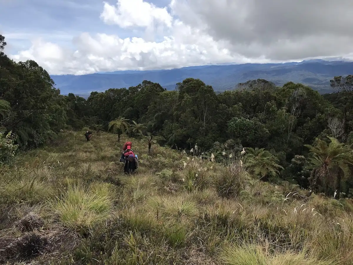 papua-new-guinea-national-park-mount-giluwe