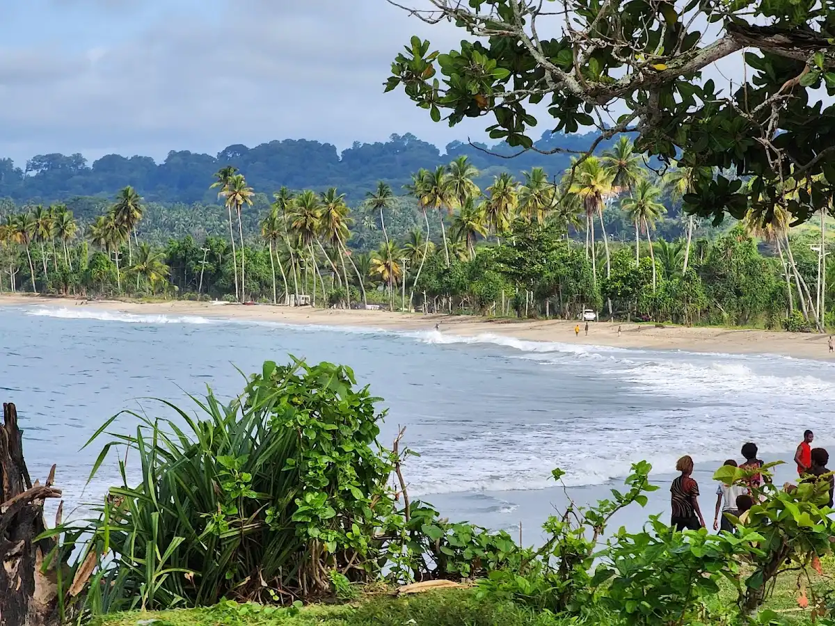 papua-new-guinea-national-park-sepik-wetlands