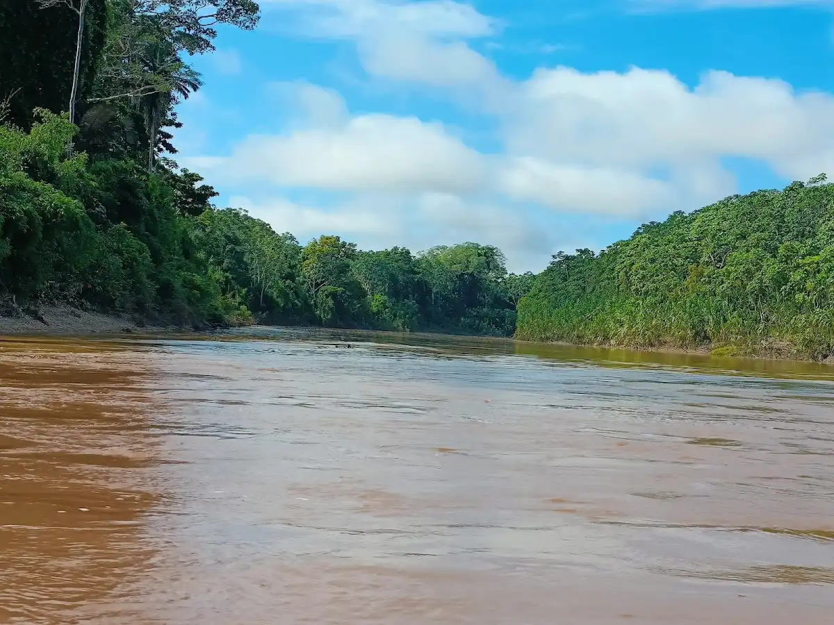 peru-national-park-bahuaja-sonene-national-park