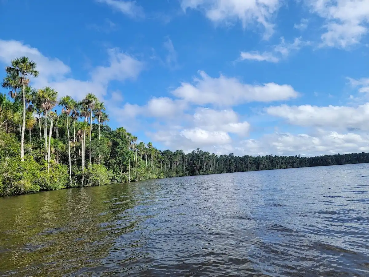 peru-national-park-tambopata-national-reserve