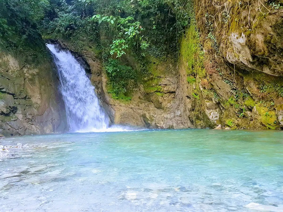 peru-national-park-yanachaga-chemillen-national-park v1
