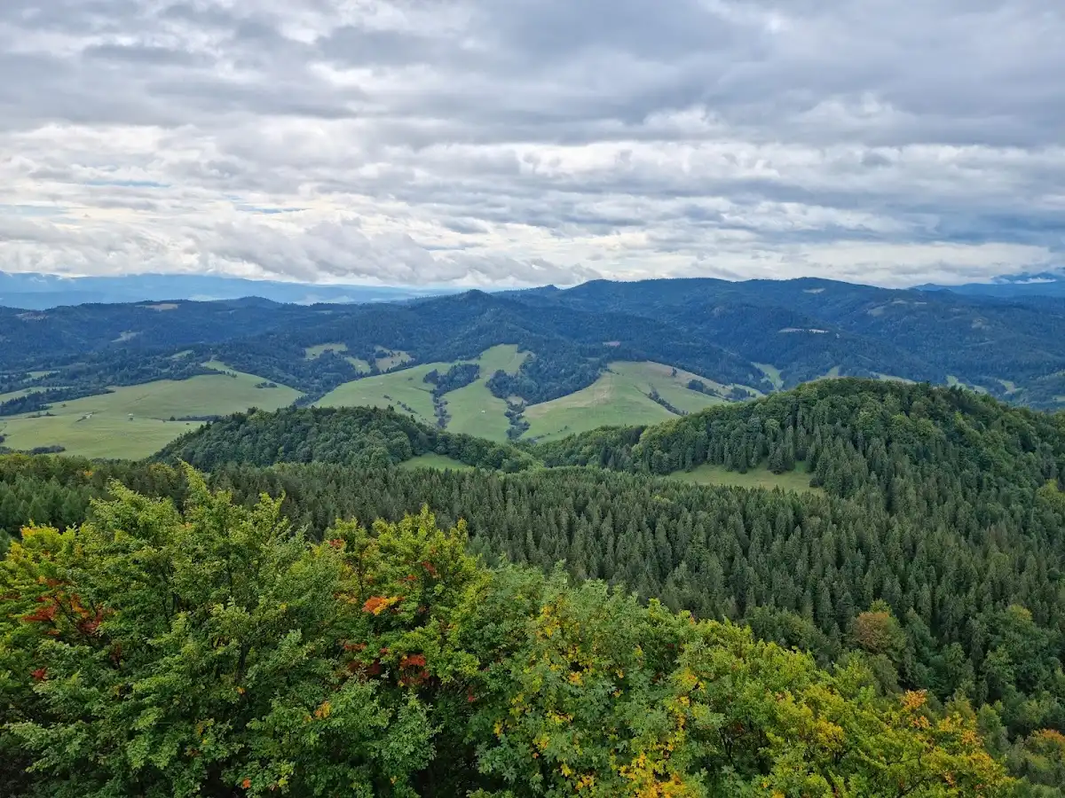 poland-hike-wysoka