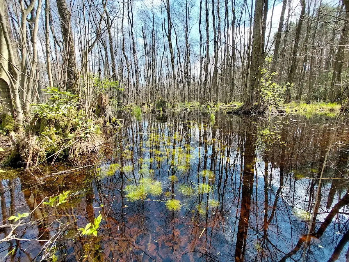 poland-national-park-kampinos-national-park