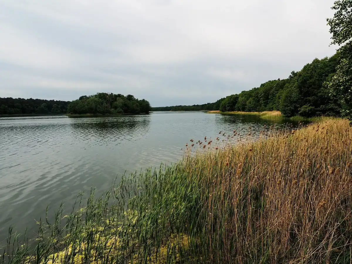 poland-national-park-wielkopolska-national-park