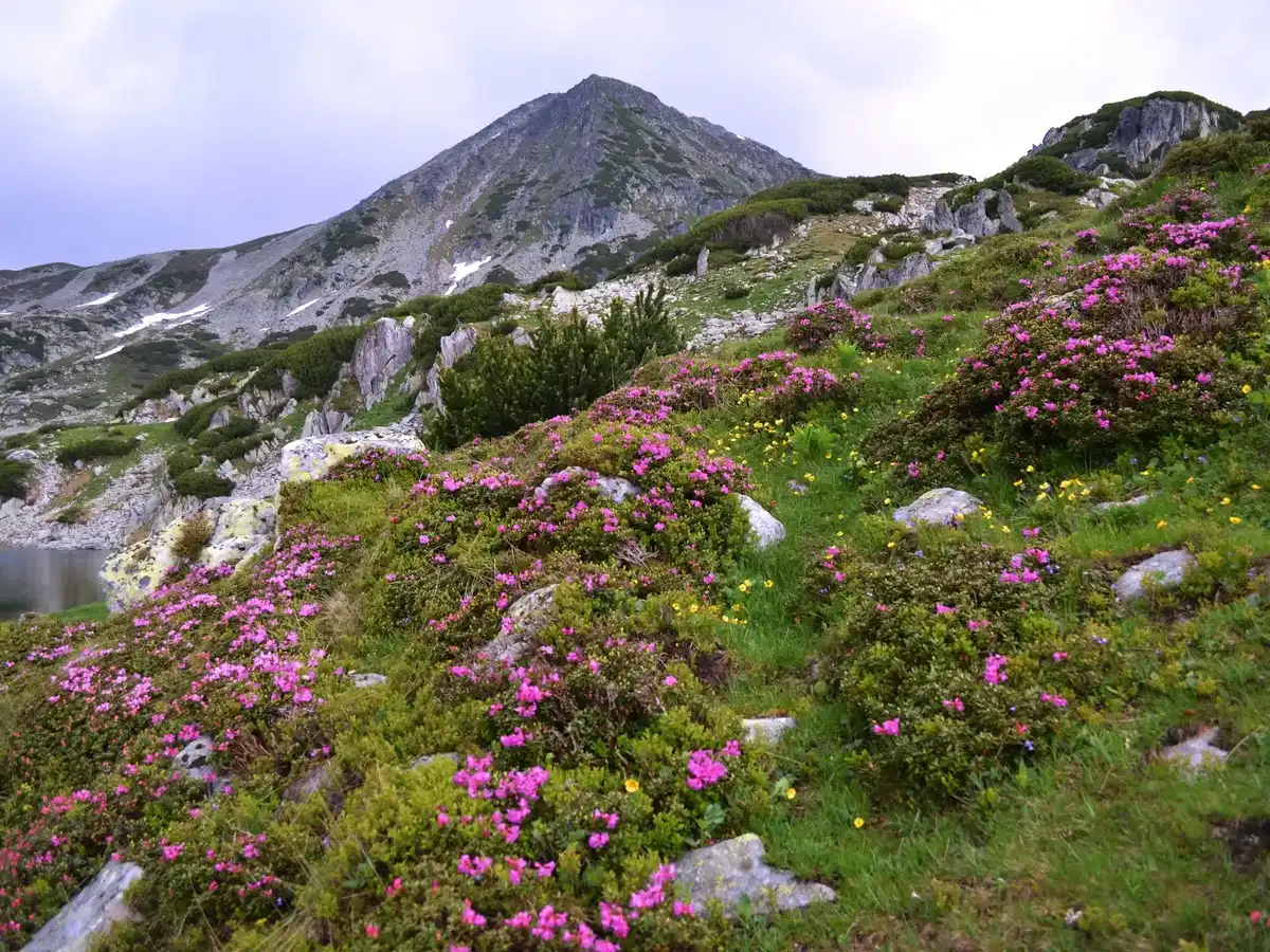 romania-national-park-retezat-national-park
