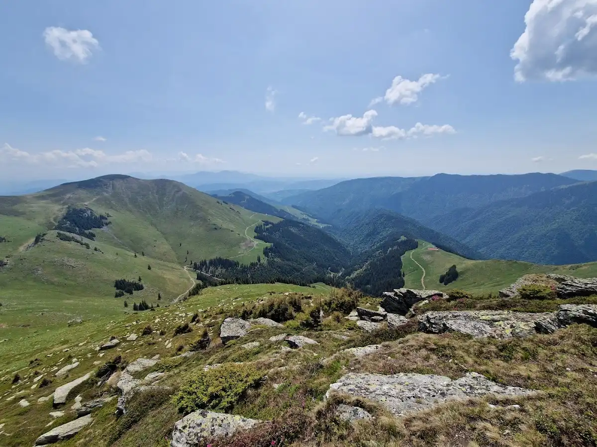 romania-national-park-rodnei-mountains-national-park v1