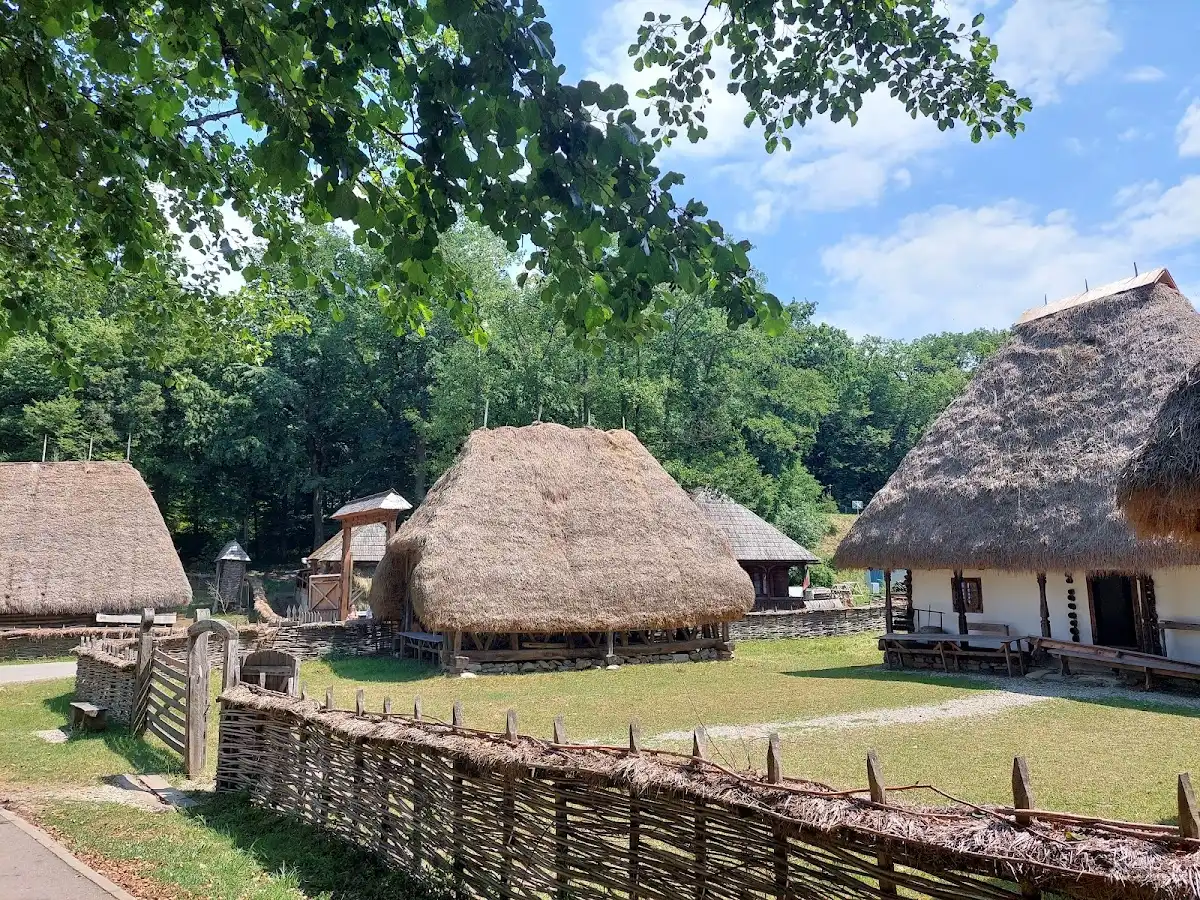 romania-unique-site-muzeul-astra