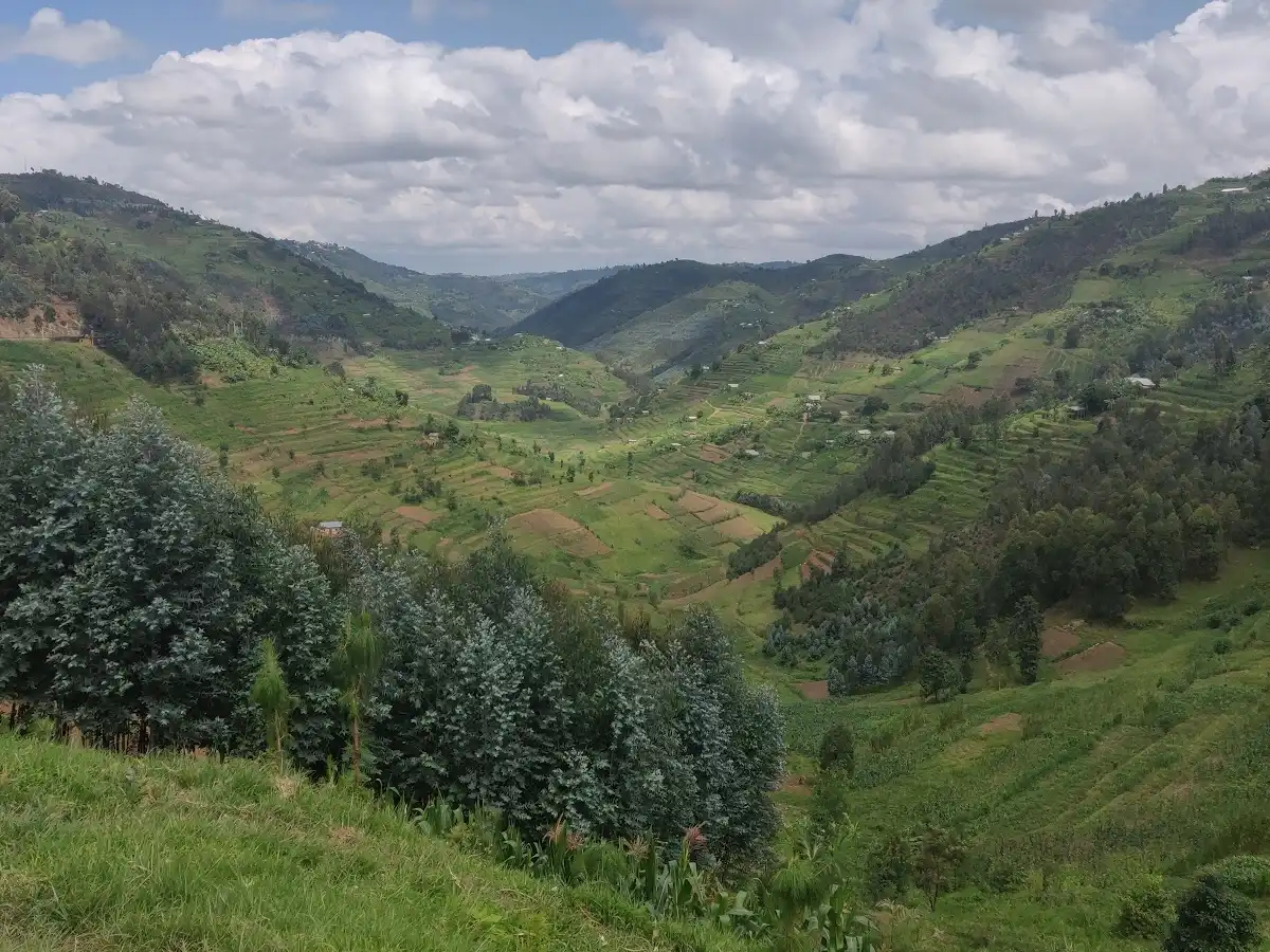 rwanda-city-byumba