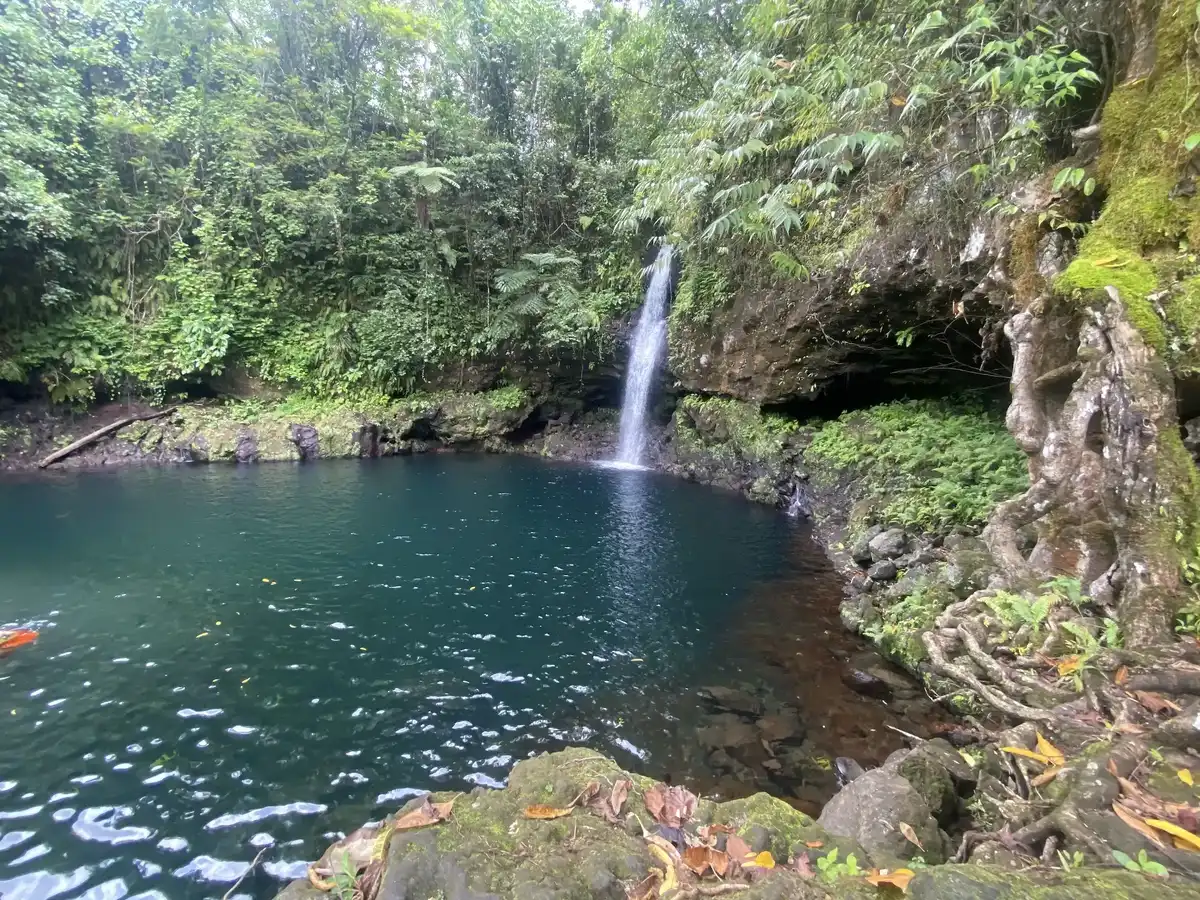 samoa-hike-afu-aau-waterfall-hike