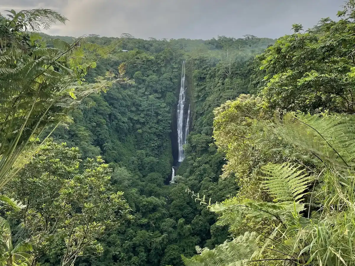 samoa-hike-papapapaitai-falls-hike