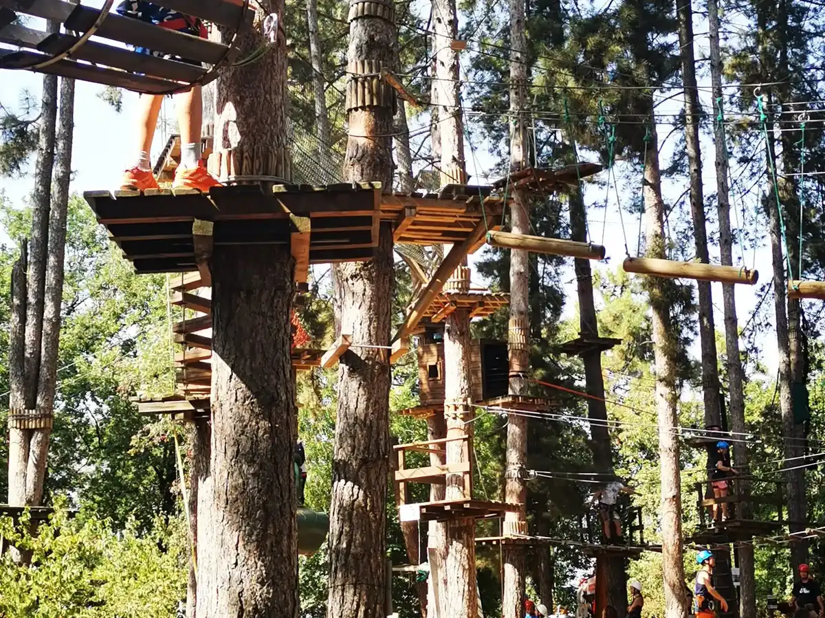 san-marino-national-park-foresta-di-citta