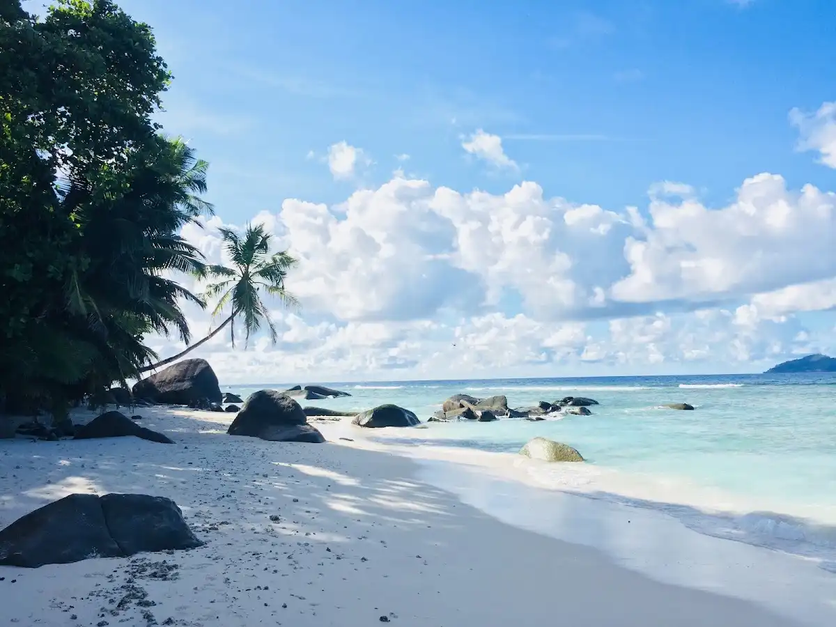 seychelles-city-silhouette-island v1