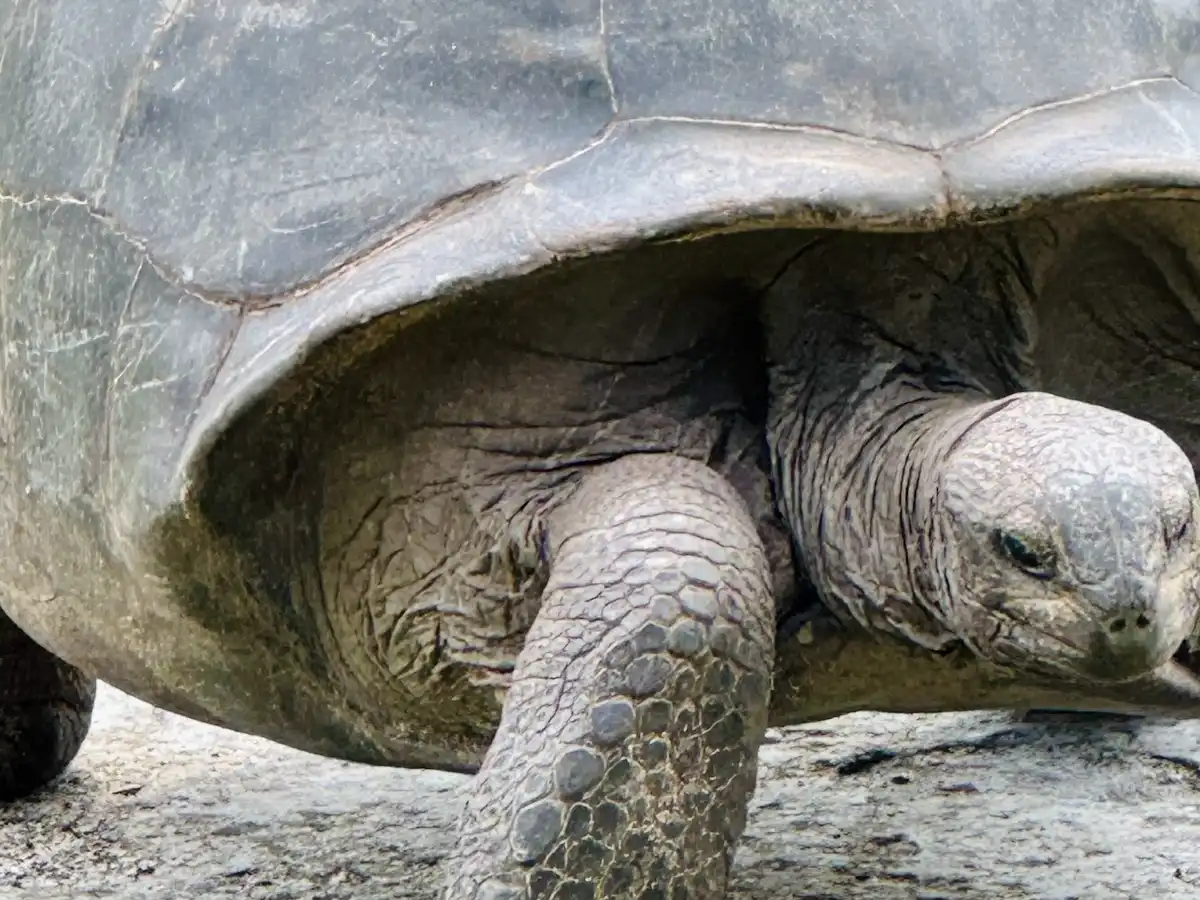 seychelles-national-park-curieuse-marine-national-park v1