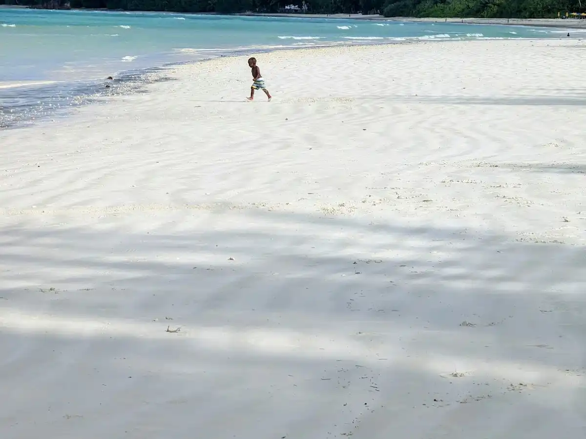 seychelles-region-praslin v1