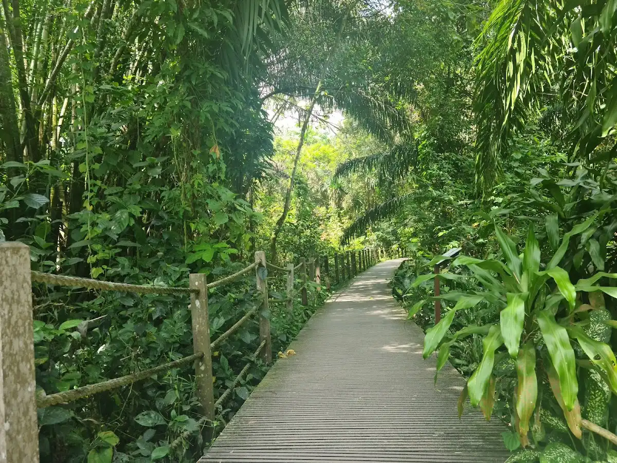 singapore-national-park-windsor-nature-park