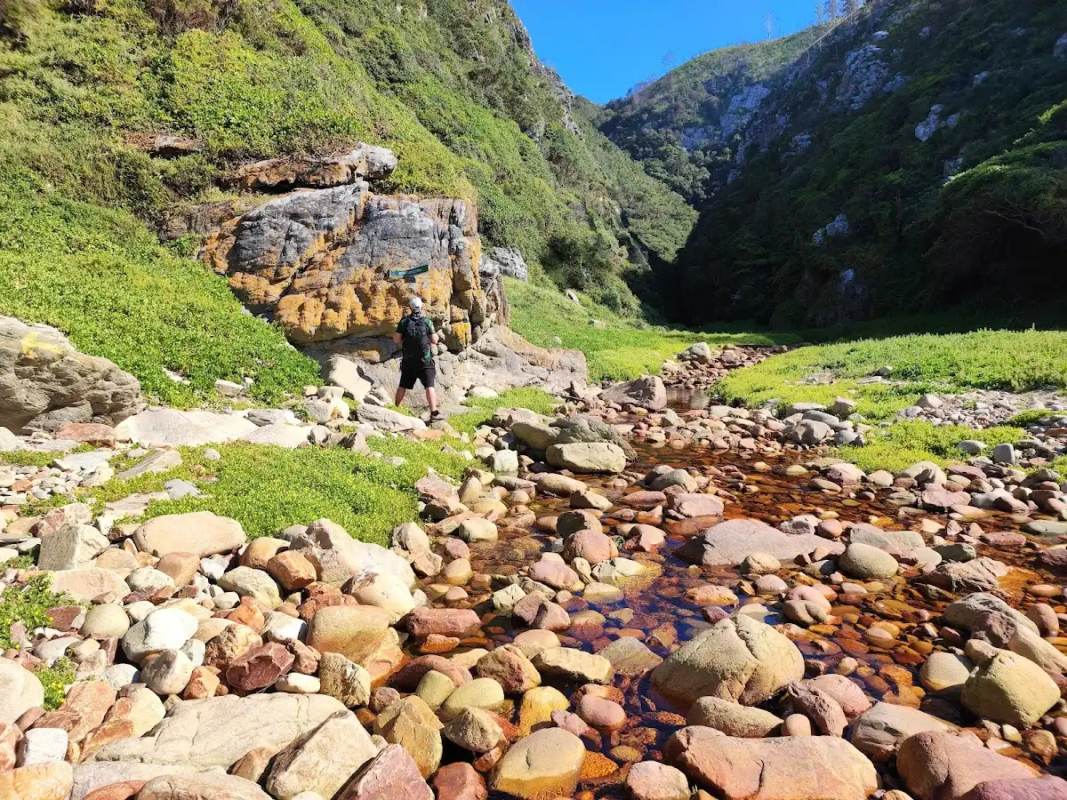 south-africa-hike-otter-trail v1