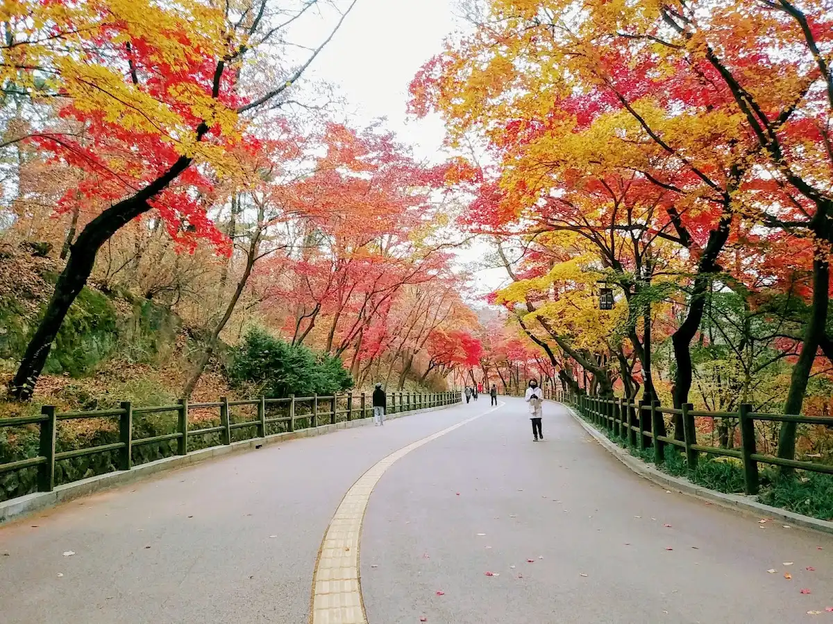 south-korea-hike-namsan-mountain-trail