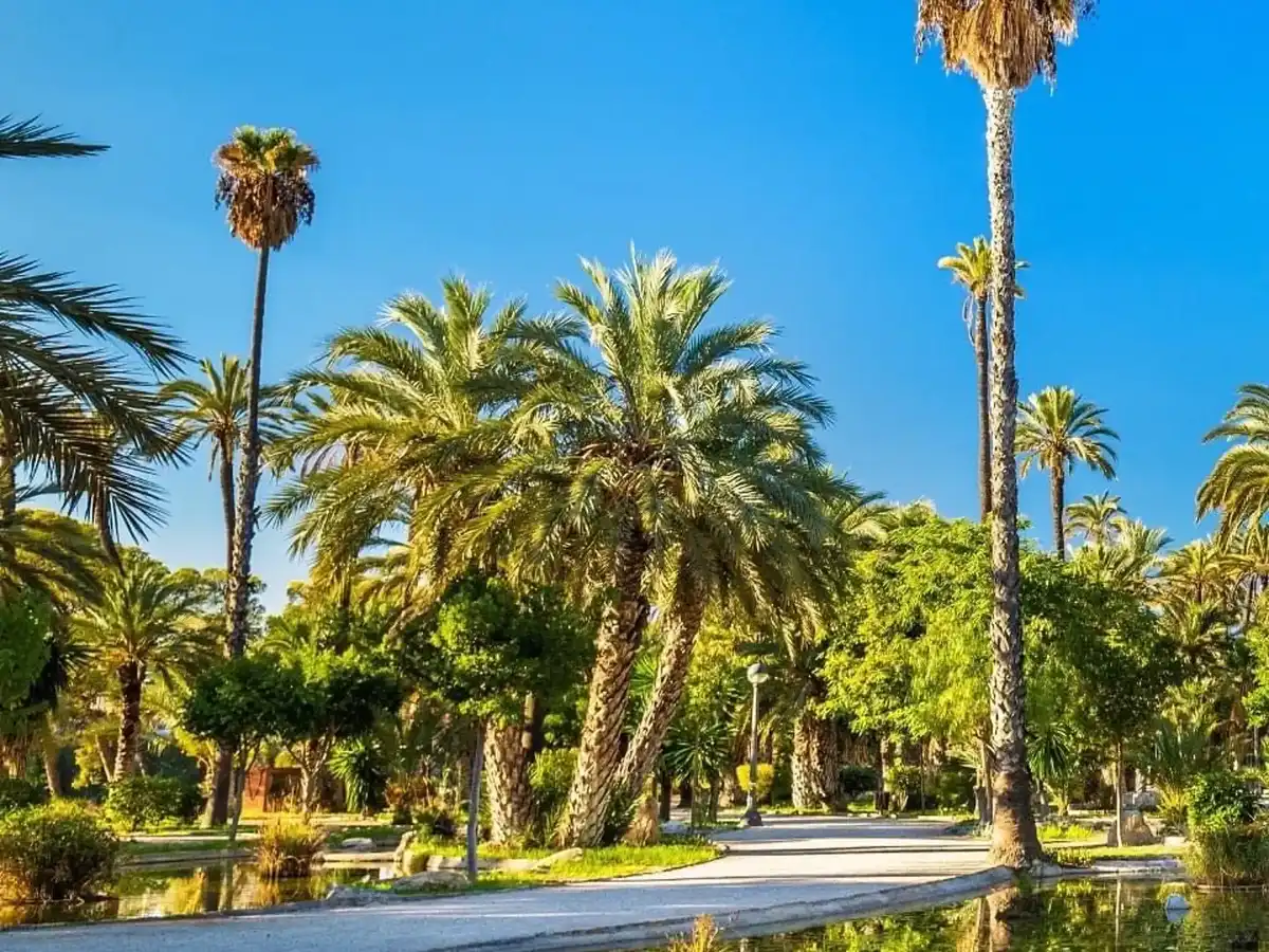 spain-unique-site-palmeral-of-elche