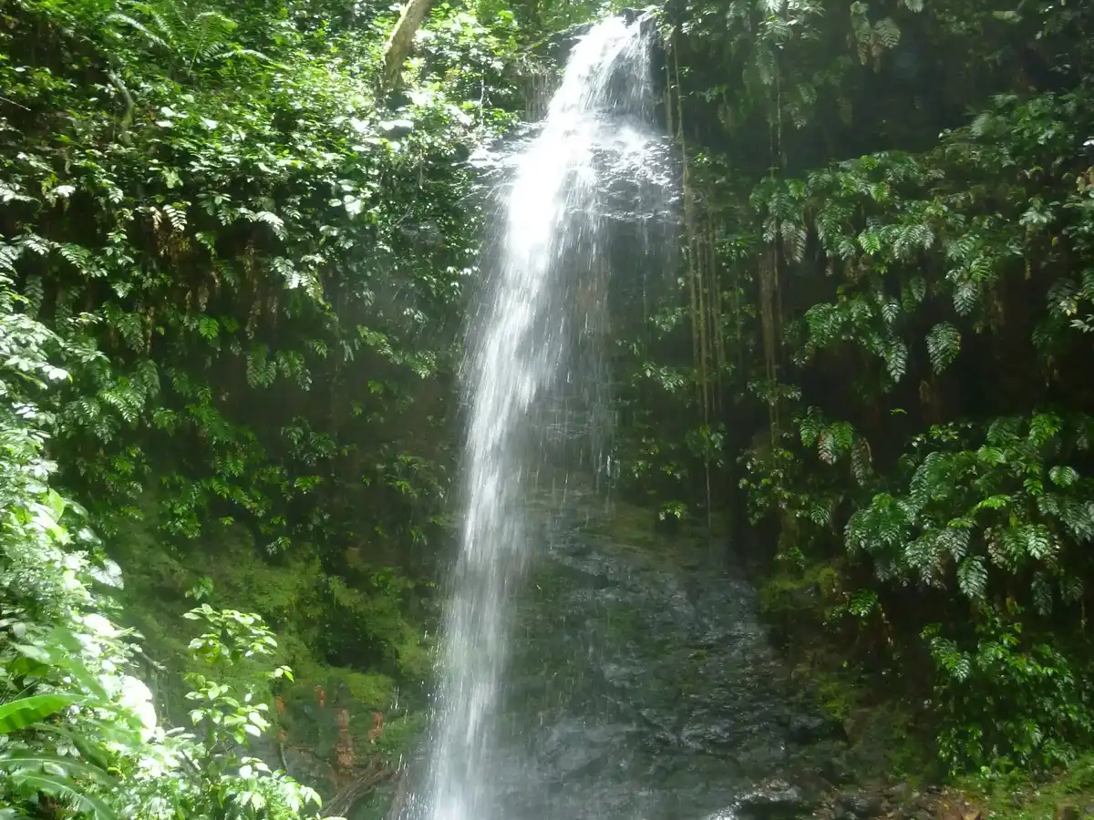 suriname-national-park-brokopondo-reservoir
