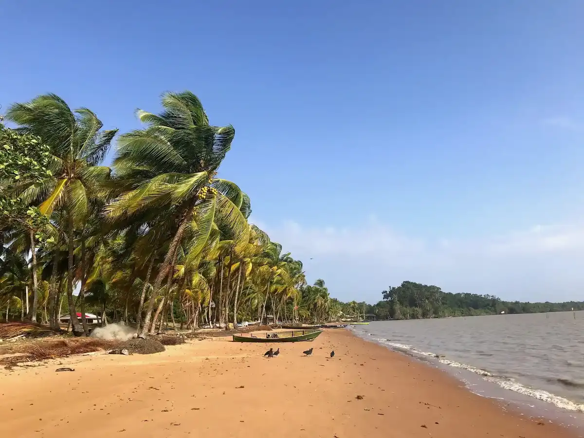 suriname-national-park-galibi-nature-reserve