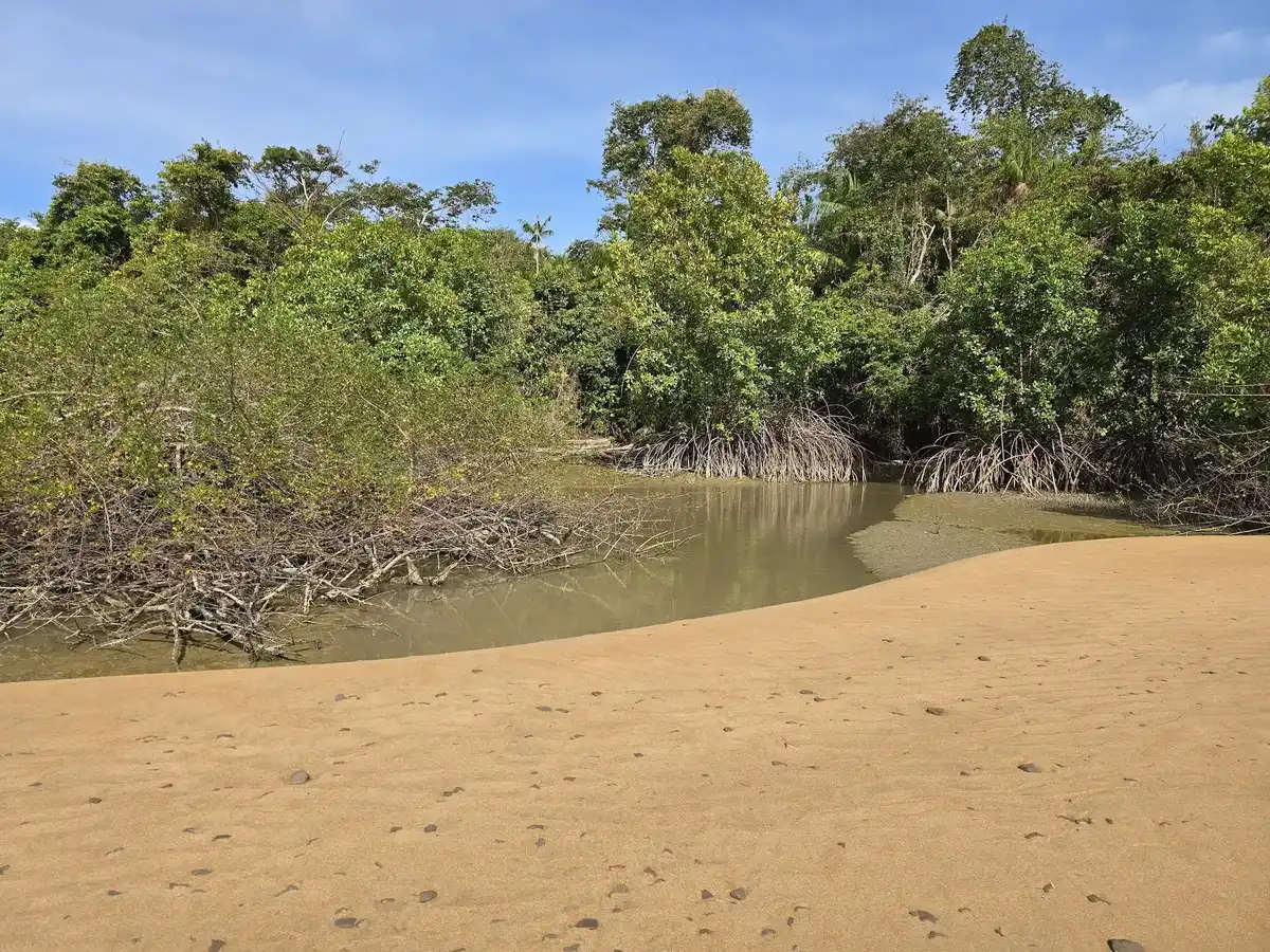 suriname-national-park-wia-wia-nature-reserve
