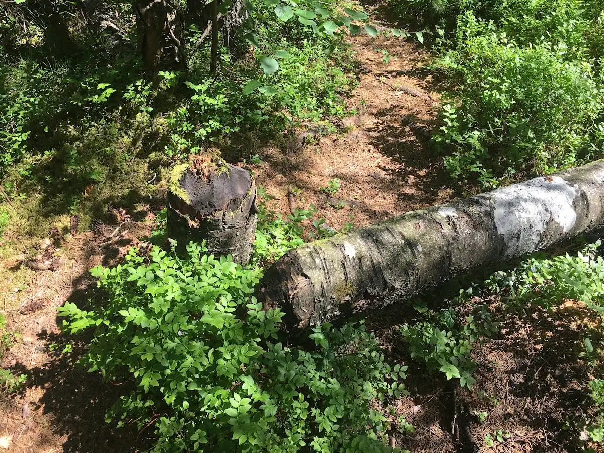 sweden-hike-bohusleden