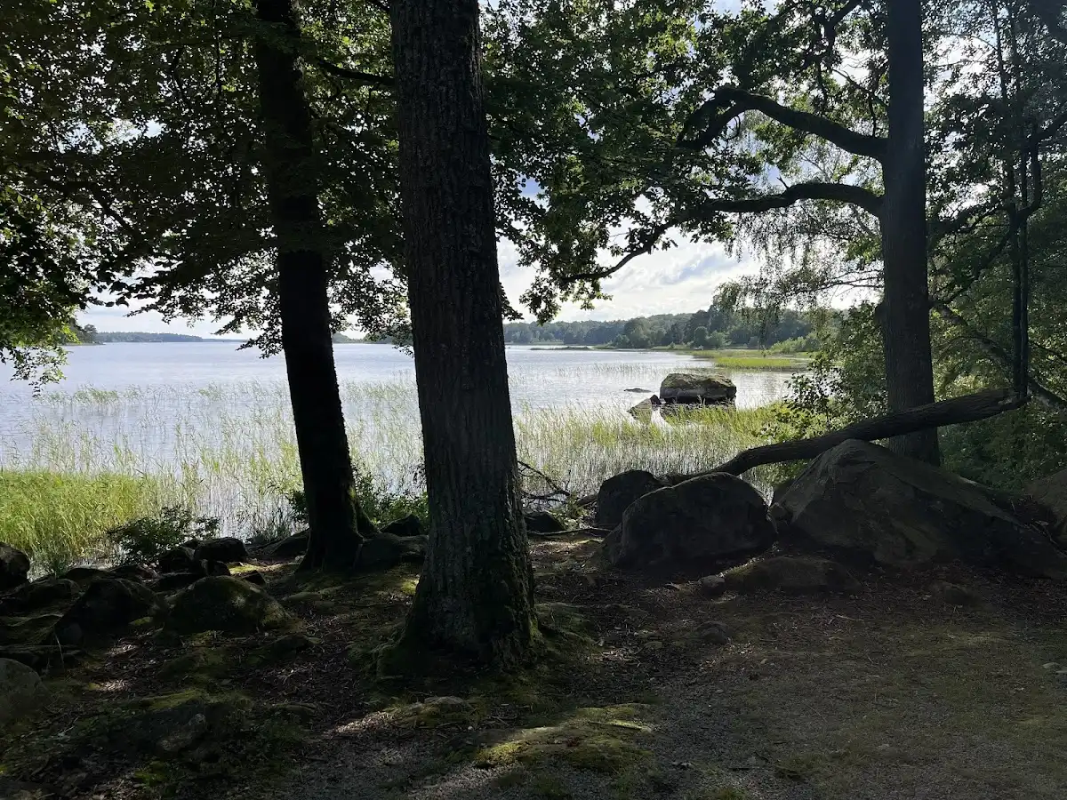 sweden-national-park-asnen-national-park